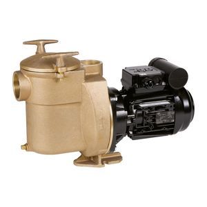 swimming pool pump 1
