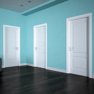 interior door 1