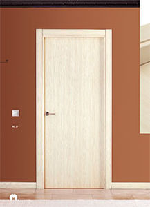 interior door 1