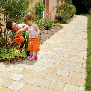 concrete paver 1
