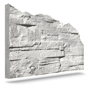 facade form liner