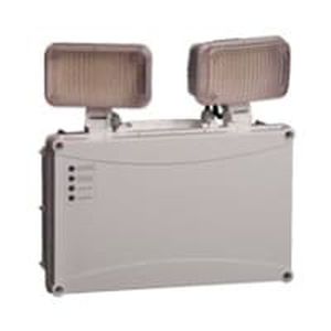 ceiling emergency light
