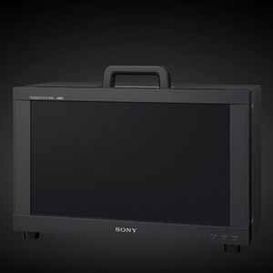 fixed monitor 1