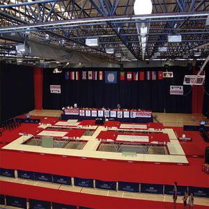 gymnastics landing mat 1