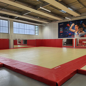 gymnastics exercise floor 1