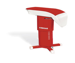 gymnastics vaulting horse 1