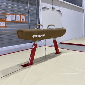 gymnastics vaulting horse 1