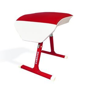 gymnastics vaulting horse 1