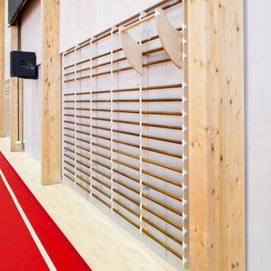 wooden wall bars