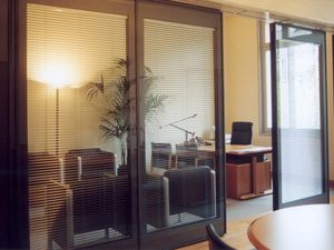 removable partition