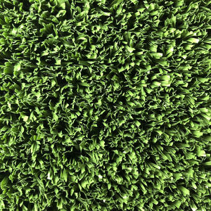 synthetic grass / roll / for athletic fields