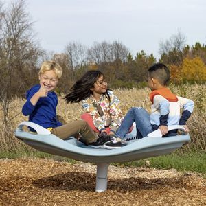 people with reduced mobility playground spinner