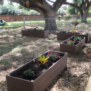 plastic planter