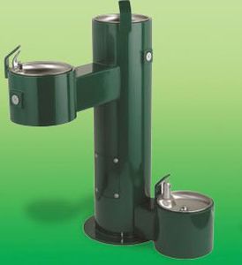 dog drinking fountain