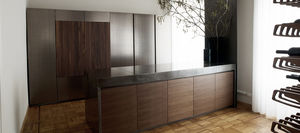 contemporary kitchen