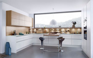contemporary kitchen