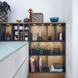 wall-mounted shelves