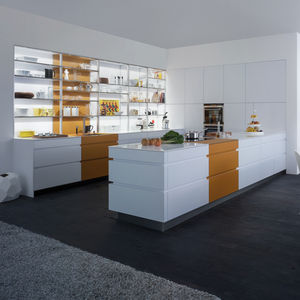 contemporary kitchen 1