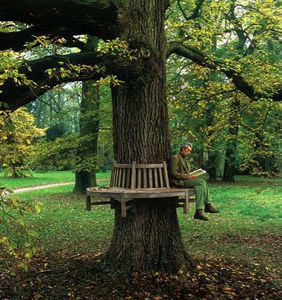 traditional garden bench