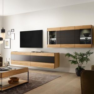 contemporary TV wall unit