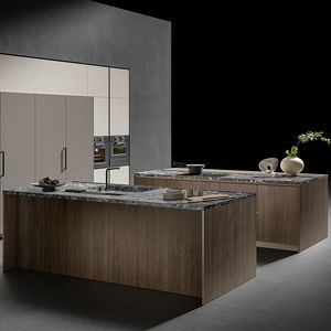 contemporary kitchen