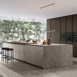 contemporary kitchen