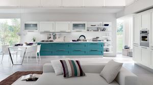 contemporary kitchen 1