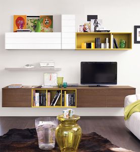 contemporary TV wall unit