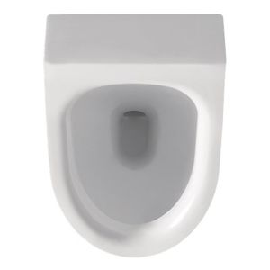 floor-mounted urinal