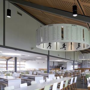 pendant downlight 1