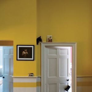 decorative paint 1