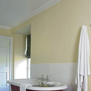 decorative paint