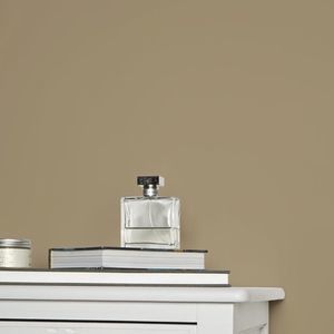 decorative paint 1