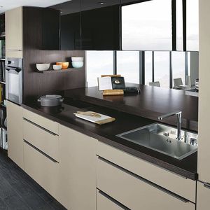 contemporary kitchen