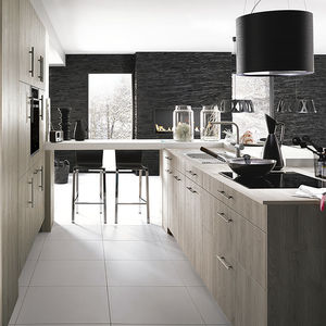 contemporary kitchen 1