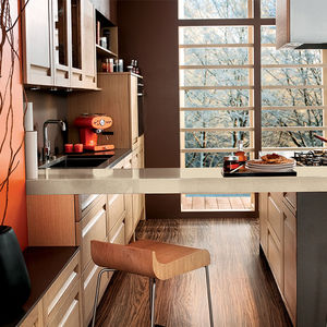 contemporary kitchen