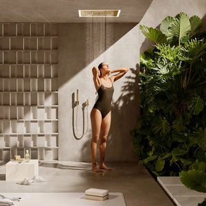 recessed ceiling shower head