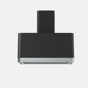wall-mounted range hood