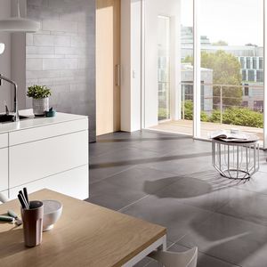 indoor tiles / wall / floor / porcelain stoneware