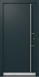 entry door
