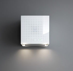 wall-mounted range hood