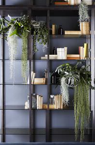 contemporary shelves