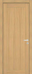 interior door 1