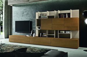 contemporary TV wall unit