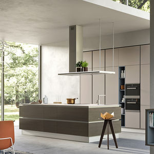 contemporary kitchen 1