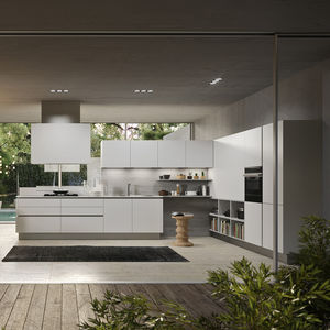 contemporary kitchen 1