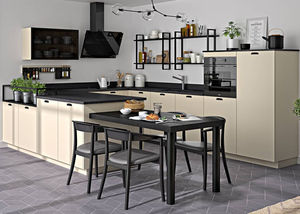 contemporary kitchen