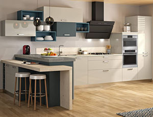 contemporary kitchen 1