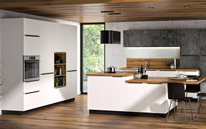 contemporary kitchen 1