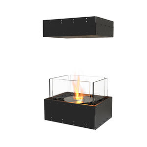 central fireplace insert